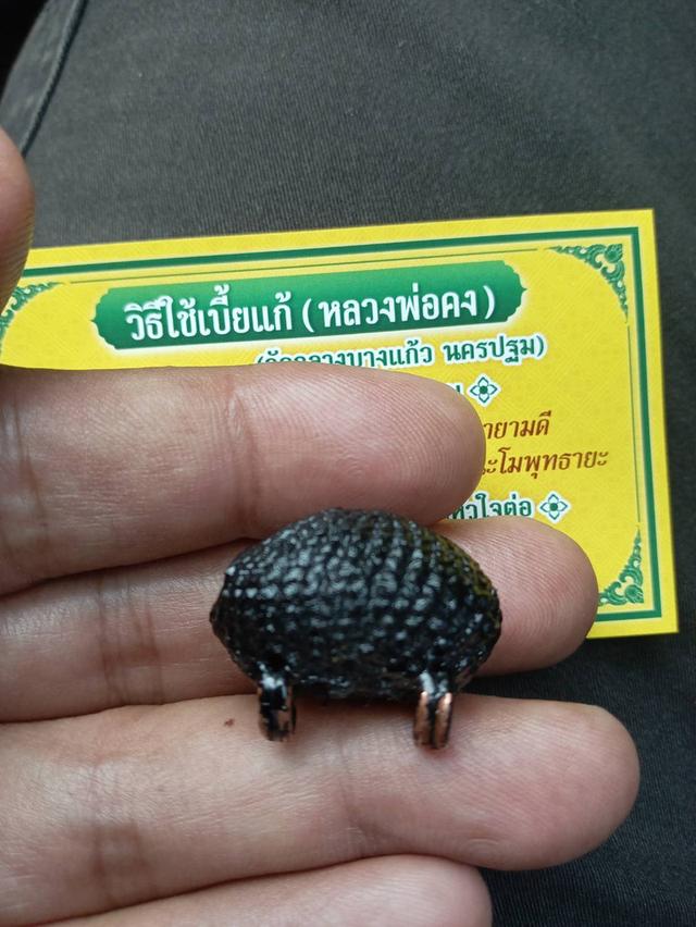 เครื่องรางของเข้าสะสม​