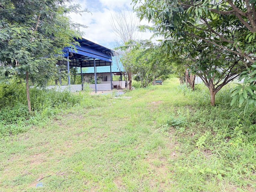ที่ดินสวย ติดถนนหลัก 58 ไร่ 23 ตรว. 5