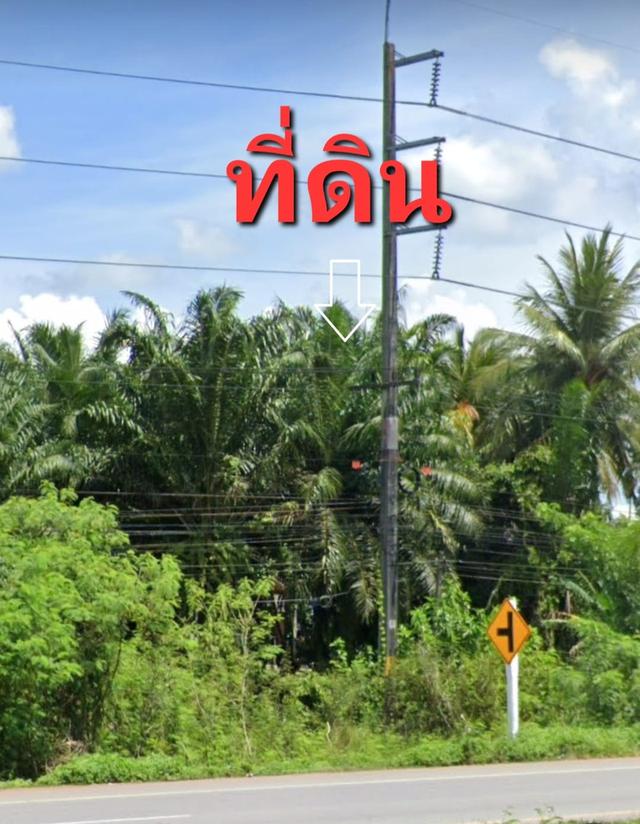 ขายที่ดินติดถนนเอเชีย41 ในสุราษฎร์ธานี 1