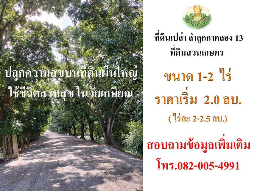 ขายที่ดินติดถนนลำลูกกา คลอง13 1