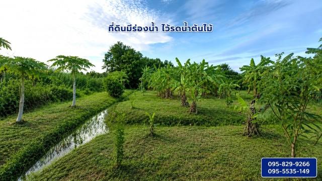 ขายที่ดินถมแล้ว 2-0-01ไร่ โครงการ Wellness City (เวลเนสซิตี้) เพื่อการพักวัยเกษียณ ใกล้ถนนปทุมธานี-สามโคก-เสนา (ทล.3111) 2