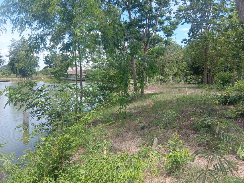 ขายที่ดิน 2-2-55 ไร่ เขาช่องพราน ตำบลเตาปูน อำเภอโพธาราม จังหวัดราชบุรี 7