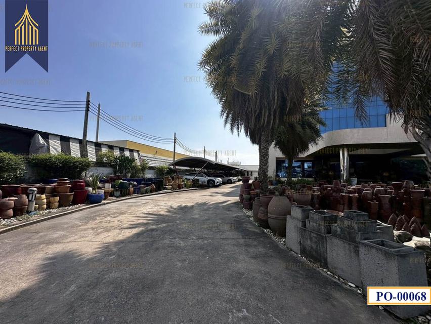 ขาย และ เช่า อาคาร สำนักงาน โชว์รูม บางนา กิ่งแก้ว บางพลี 12