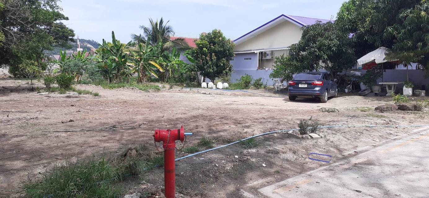 ขายที่ดินอำเภอหัวหิน 12 ไร่ 8