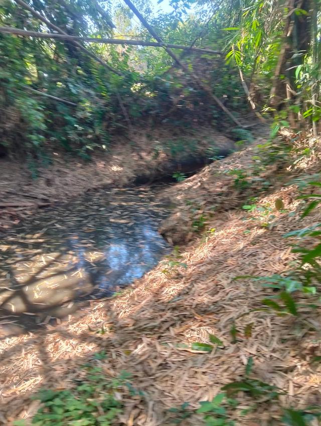 ที่ดิน 1 ไร่ 28 ตร.วบ้านนาสมดีอำเภอเมืองนครพนม 14