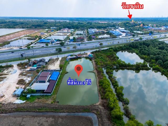 ขายที่สีม่วง 3 ไร่ ผังอีอีซี ติดถนนเลียบมอเตอร์เวย์ ขาเข้ากรุงเทพ และ อยู่ติดนิคมบลูเทค ต.เขาดิน อ.บางปะกง จ.ฉะเชิงเทรา 7