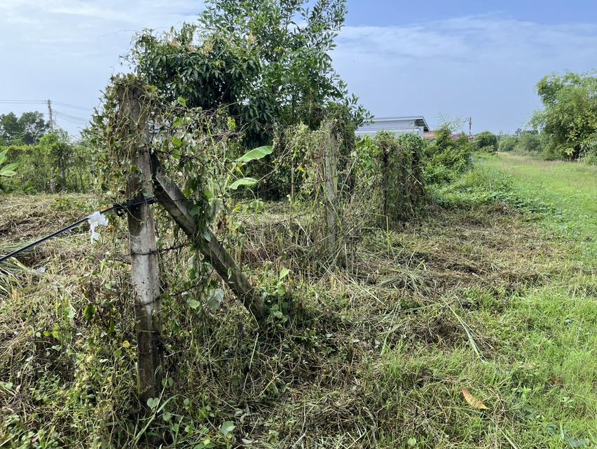 ขายที่ดิน 100 ตร.ว. ถมเต็มพื้นที่ โฉนดครุฑแดง ถนนสาธารณประโยชน์ ต.พรหมณี อ.เมืองนครนายก 13
