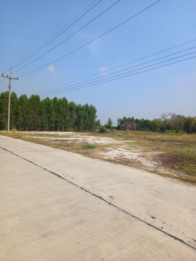 ขายที่ดินหนองขยาด 2 ไร่ ติดถนน2ด้าน ใกล้แยกมาบโป่ง(นิคมอมตะ)-10กม. อ.พนัสนิคม ชลบุรี 2
