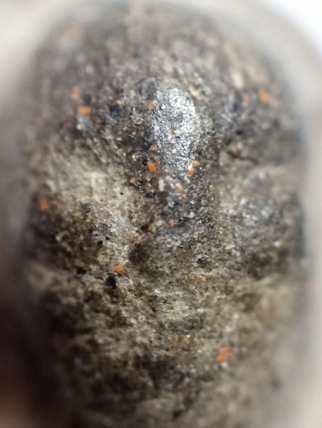 หลวงปู่ทวดเนื้อว่าน 2497