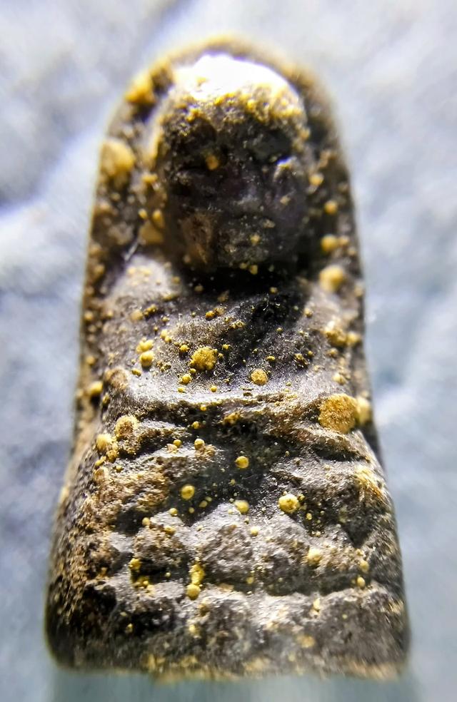 พระหลวงปู่ทวด พิมพ์พระรอด