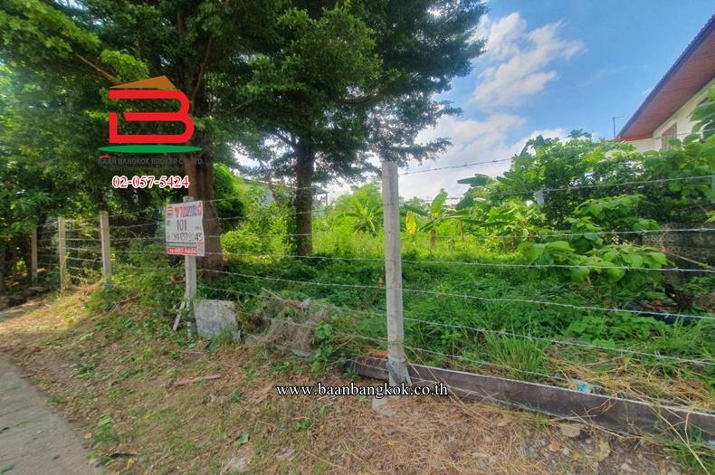 ที่ดินเปล่า หมู่บ้านสินธร รังสิต (ซอย D1,D2) เนื้อที่ 101 ตรว. ใกล้ดูโฮม บางพูน ตำบลบางพูน อำเภอเมืองปทุมธานี จังหวัดปทุมธานี 3