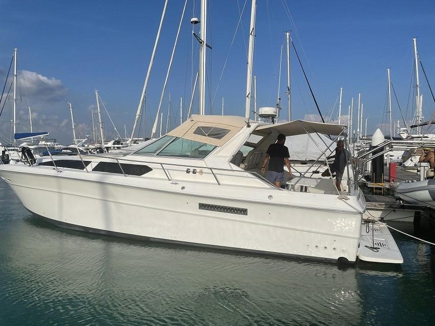 ขายราคาดี YACHT SEARAY 390 EXPRESS CRUISER 1