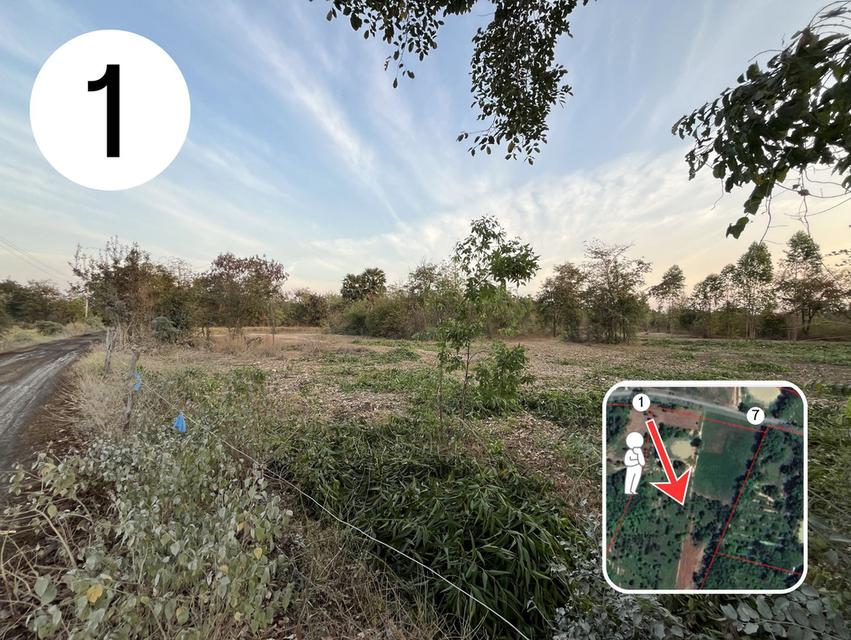 📌 ที่ดิน 26 ไร่ อำเภอดอนเจดีย์ จังหวัดสุพรรณบุรี 4