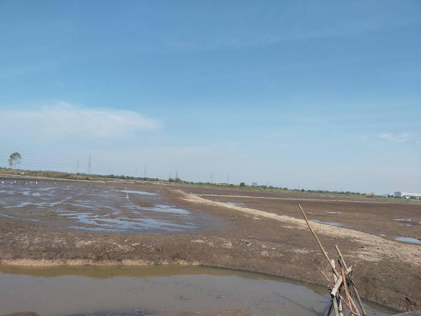 ต้องการขายที่ดิน ใกล้ทางด่วนบางปะอิน-โคราช  บางปะอิน  33 ไร่ 2 งาน 2 ตรว 7