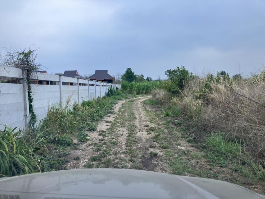 ที่ดิน 4 แปลง รวม 36 ไร่ 2 งาน อ.สวผึ้ง จ.ราชบุรี 7