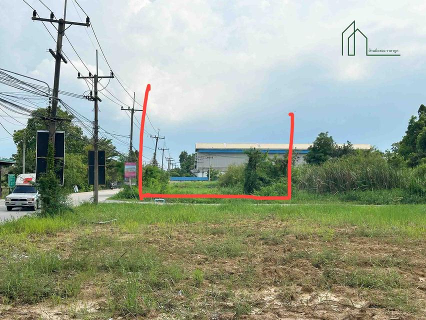 ที่ดิน 2 แปลง 7 ไร่ 1งาน 43 ตร.วา รังสิตคลองหก ถนนคลองตะวันตก 21 ปทุมธานี ใกล้ ม.เทคโนโลยีราชมงคลธัญบุรี 6