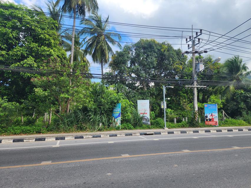 ขายที่ดินติดถนนรอบเกาะสมุย 18