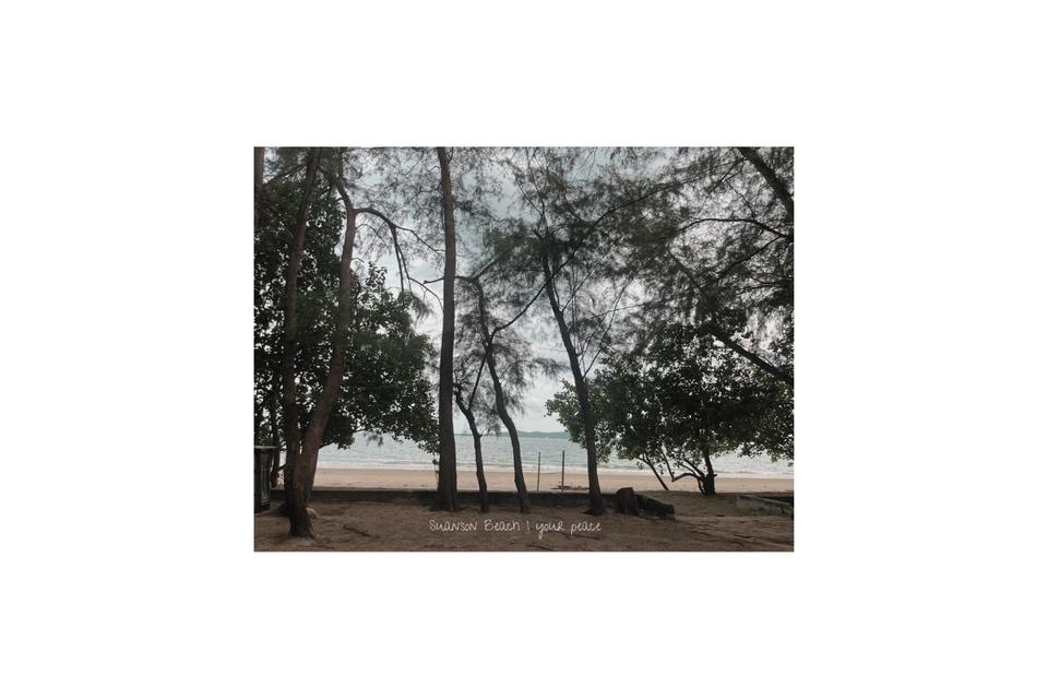ขายที่ดินแปลงเล็กใกล้หาดสวนสน อ.เมือง จ.ระยอง 8
