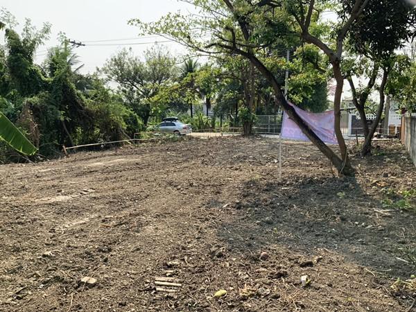 ขายที่ดิน บางใหญ่ ใกล้รถไฟฟ้า 99 วา 2.1 ล้าน 0864540423 3