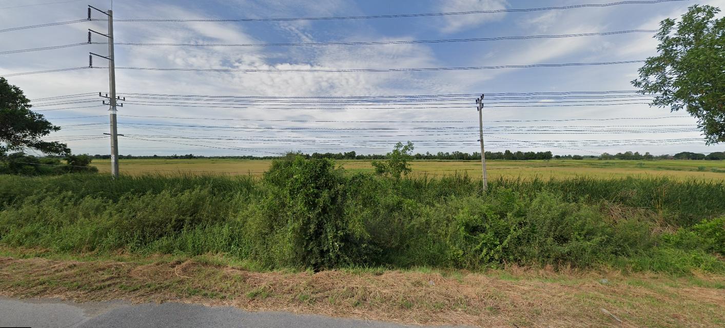 ✅ขายที่ดิน 76ไร่ พื้นที่สีม่วง หน้ากว้าง 330ม. ถนน340 บางบัวทอง-สุพรรณบุรี กม.51 ตำบล องครักษ์ อำเภอบางปลาม้า สุพรรณบุรี 3