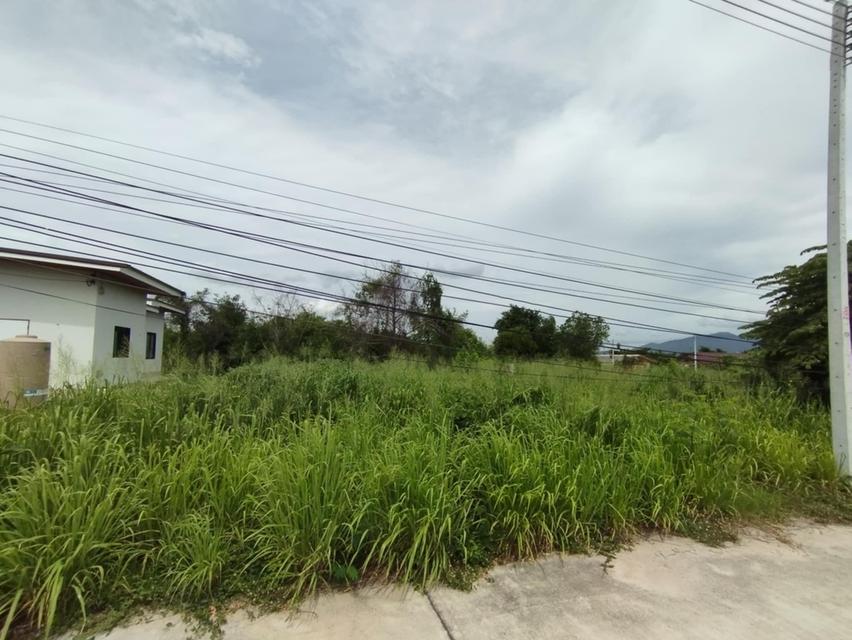 ขายที่ดินใจกลางเมืองนาป่า 200 ตรว. ซ.เพนียงพัฒนา2 ติดถนนคอนกรีตที่ดินถมสูงเท่าถนน ใกล้ถ.บายพาสเลี่ยงเมือง361 - 1 กม. เมืองชลบุรี 4