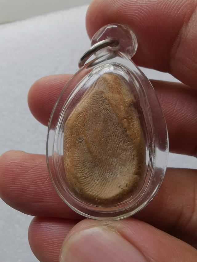 #พระนางกำแพงกลีบบัว✅✅✅ รูปที่ 4