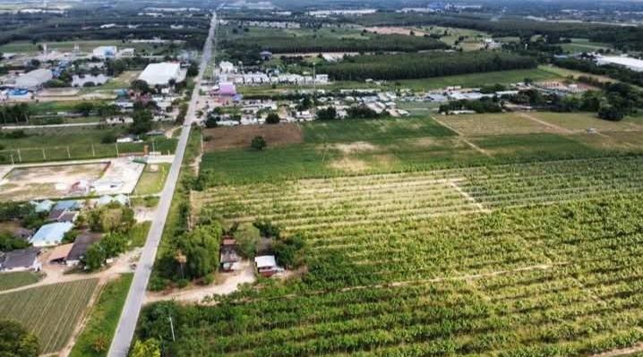 ขายที่ดินนิคมพัฒนา ระยอง 47-2-96ไร่ ติดถนนนิคมสาย 11 ผังสีม่วงลาย เหมาะสำหรับทำ โรงงาน โกดัง คลังสินค้า บ้านจัดสรร 2