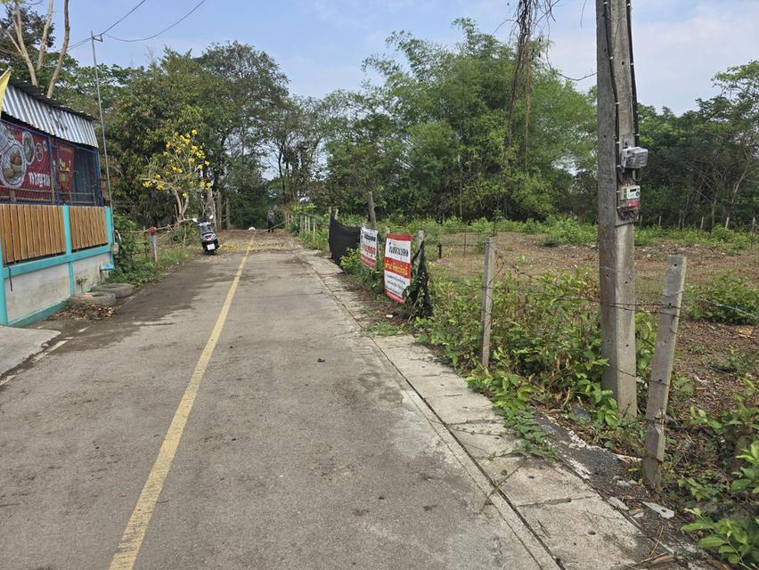 ที่ดินสันกำแพง 2 แปลง รวม 231 ตรว. 3