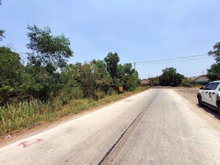 ขายด่วนที่ดิน 200 ตารางวา ติดถนนคอนกรีต ซอย คลองสี่ตะวันออก 56 คลองหลวง ปทุมธานี 6