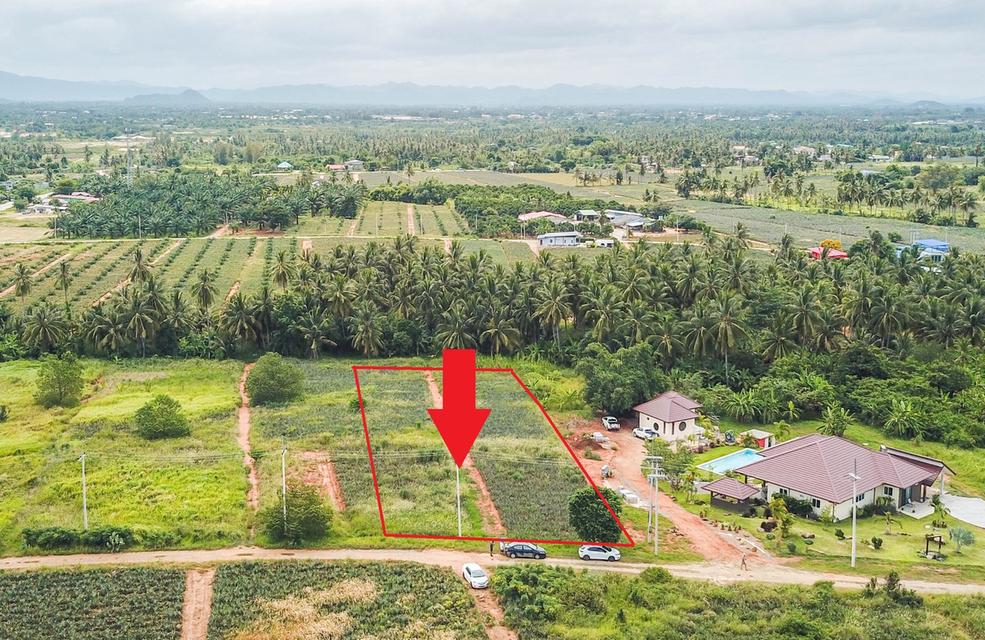 ขายที่ดินเชิงเขา วังก์พง-เบญจพาส 1