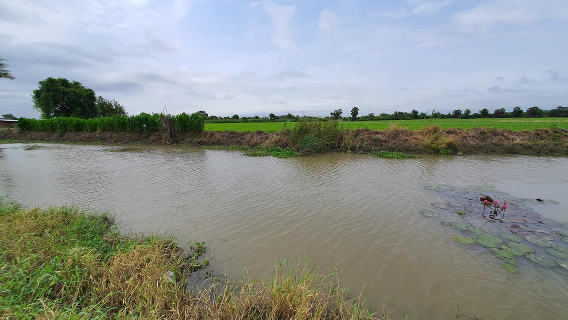 ฮวงจุ้ยดีเยี่ยมริมน้ำคลองธรรมชาติ  วิวท้องทุ่งแบบ 360 องศา แปลงเล็ก ราคาถูก ใกล้ ม.เกษตรกำแพงแสน