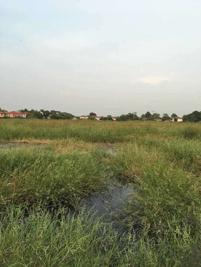 เนื้อที่ ทั้งหมด 46 ไร่ 2 งาน 20 ตารางวา 5