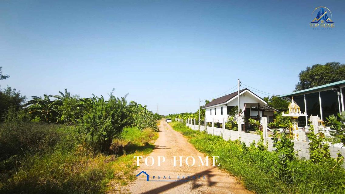 ขายที่ดินจัดสรรแปลงสวย ถมแล้ว ต.บางเตย อ.สามโคก จ.ปทุมธานี 16