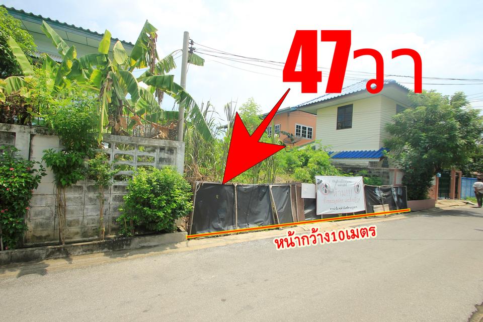ที่ดินประชาอุทิศ69แยก16-6 สุขสวัสดิ์64 เทคโนบางมด 47ตารางวา ที่ถมแล้ว ที่ดินสร้างบ้าน ใกล้ทางด่วน เซ็นทรัลพระราม2  2