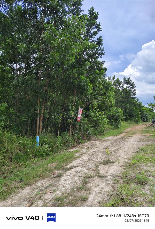 ขายที่ดินในหมู่บ้านเพชรกล้าการ์เด้นโฮม ต.คลองทราย อ.นาทวี จ.สงขลา ใกล้ศาลจังหวัดนาทวี ที่ติดถนน 2 ด้าน เนื้อที่ มี 6 ห้อง  ราคา ห้องละ 250,000 บาท  10