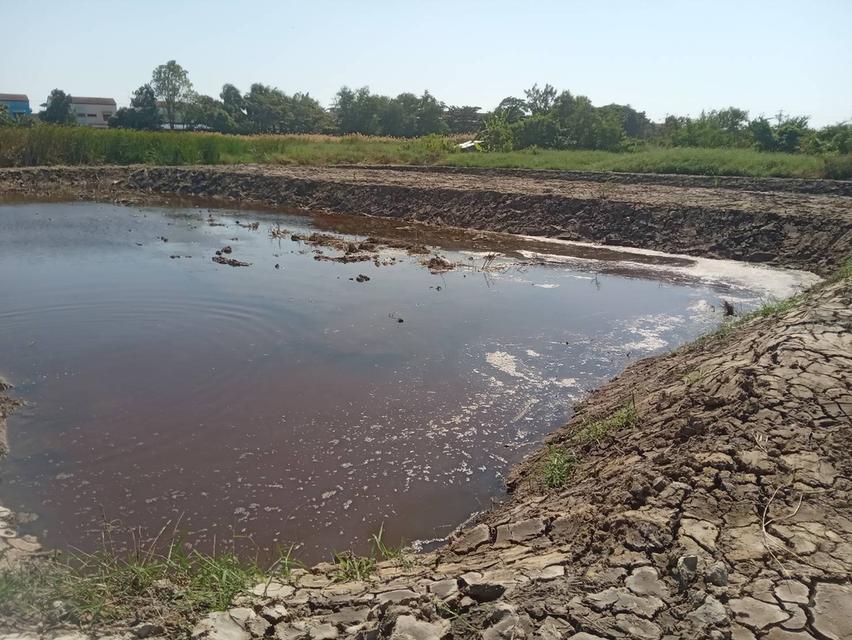 ขายที่ดินเปล่า 525 ตารางวา ติดถนนคอนกรีต ซอยเทศบาลบางปู 83 6