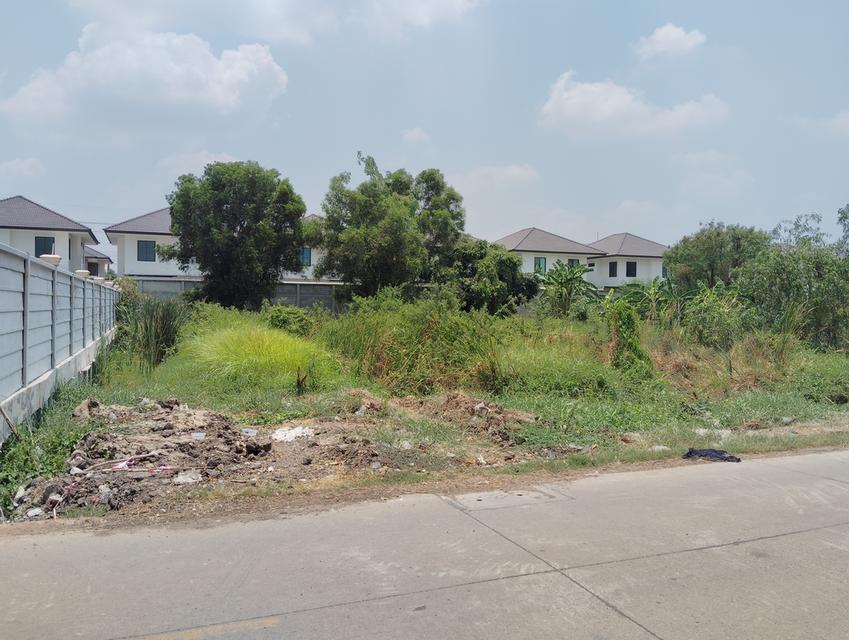 ขายที่ดิน 380 ตรว. ซอยบงกช 47 คลองสอง คลองหลวง หน้ากว้าง 30 เมตร ลึก 50 เมตร อยู่ในซอยบงกช 47 4