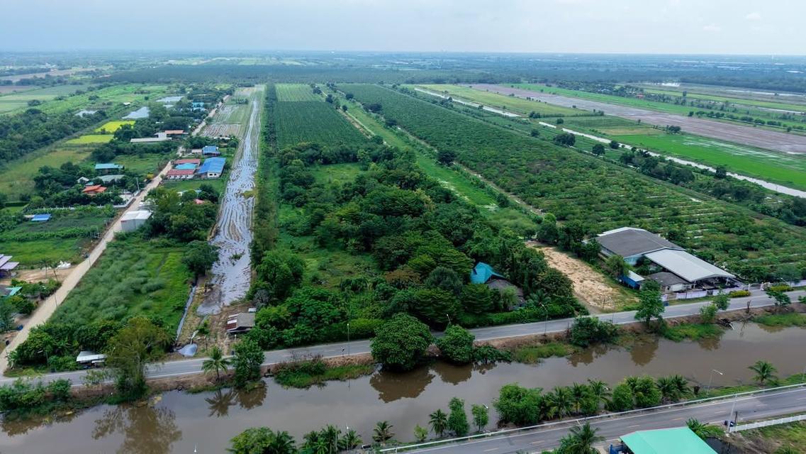 📣เปิดแปลงใหม่ 40 ไร่ สดๆร้อนๆ📣แบ่งขาย แปลงสวย ติดถนน ทำเลทองโครงการทางด่วน โครงการเริ่ม ปี พ.ศ. 2570-2571 แล้วเสร็จ 2575) 5