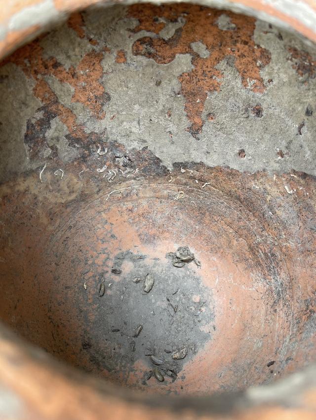 โอ่งแดงใบเล็ก โอ่งอยุธยา โอ่งโบราณ ขนาด9นิ้ว โอ่งดินเผา 5