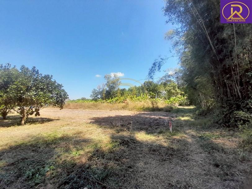 ขายที่ดินเปล่า ราคาหลักแสน แปลงสวย ทำเลดี เหมาะสร้างบ้าน 1 งาน 99.4 ตารางวา ต.นาวังหิน อ.พนัสนิคม จ.ชลบุรี 5