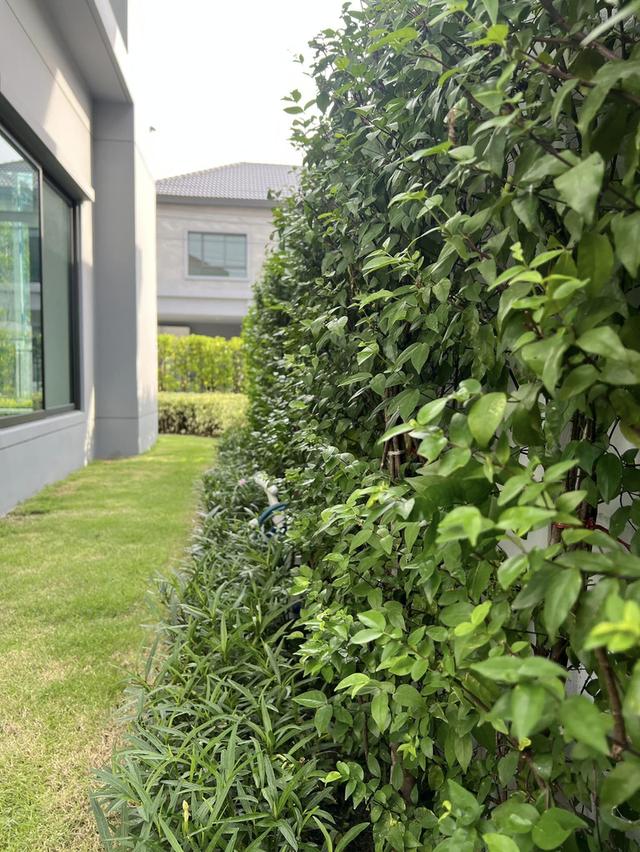 🏡 ขายบ้านเดี่ยว 2 ชั้น บางกอก บูเลอวาร์ด พระราม 5 บ้านใหม่ไม่เคยเข้าอยู่ ตกแต่งเฟอร์บิ้วอินเรียบร้อยแล้ว 19