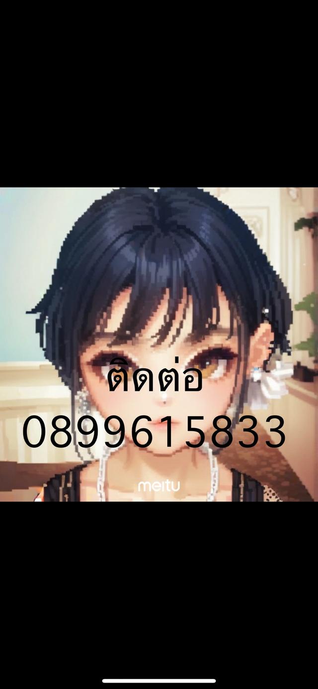 ขายที่ดินติดถนนซอยสุขุมวิทพัทยา33 2