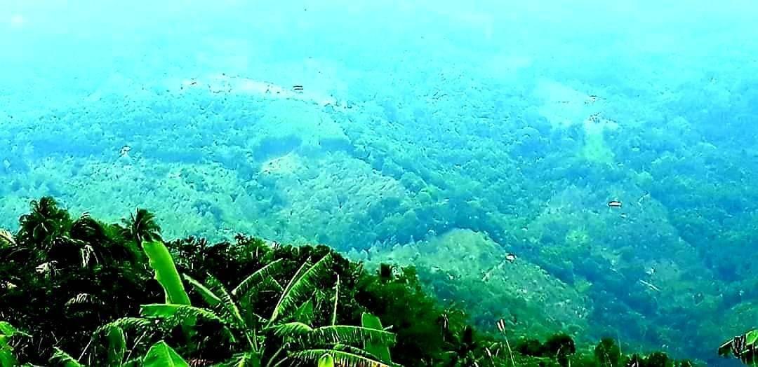 ที่ดินซีวิวบนเกาะสมุยอากาศดีถนนไฟฟ้าพร้อม 16