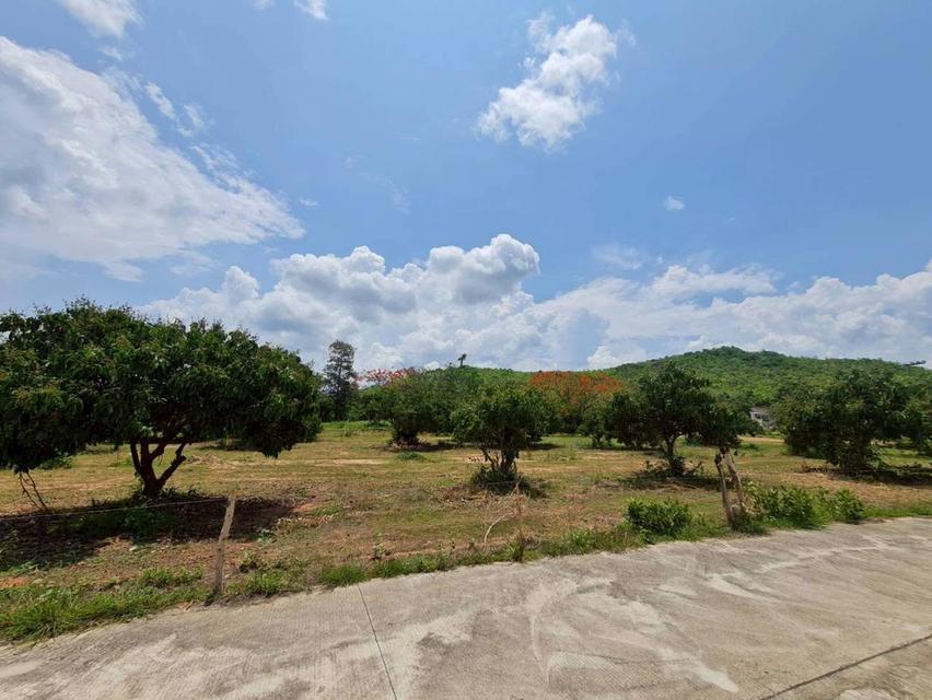 Landing Lamphun / ที่ดินลำพูน 5
