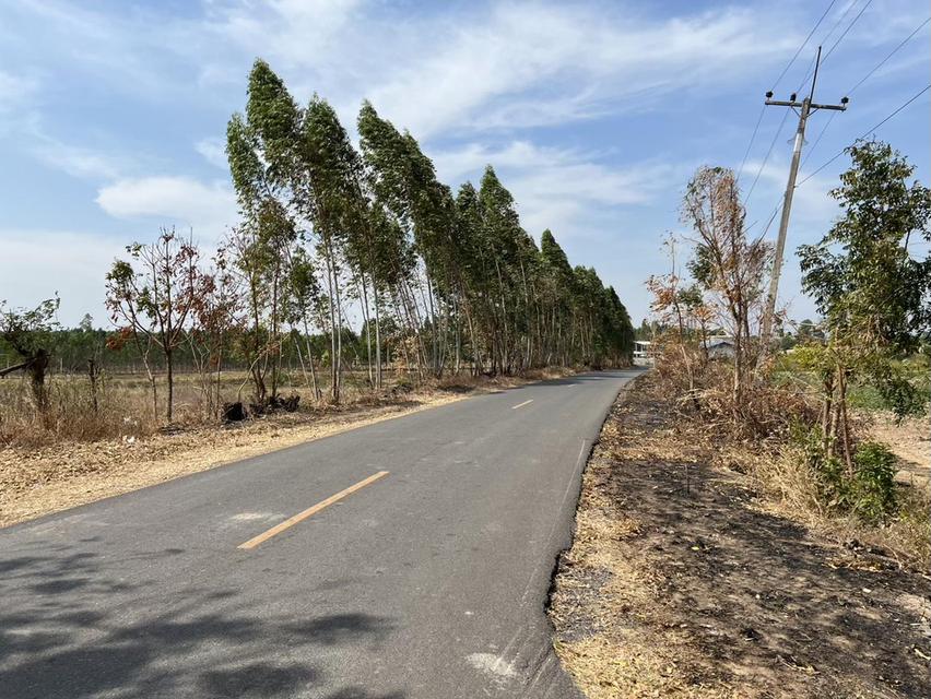 ขายที่ดินเขาหินซ้อน 25 ไร่ ติดฟาร์มเป็ดติดถนนลาดยาง ใกล้ถนนเส้น304-3กม. อ.พนมสารคาม ฉะเชิงเทรา 1