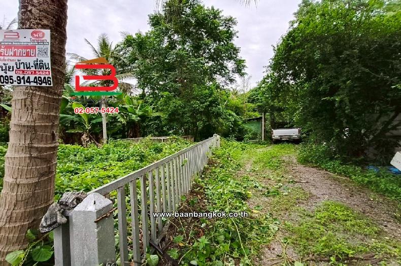 ที่ดินเปล่า ท่านัด-ดำเนินสะดวก เนื้อที่ 137 ตร.ว (ใกล้โรงพยาบาลส่งเสริมสุขภาพตำบลท่านัด) ตำบลท่านัด อำเภอดำเนินสะดวก จังหวัดราชบุรี 3