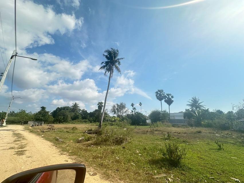 ขายด่วนที่ดินห้วยใหญ่ - ทุ่งละหาร ชลบุรี 1