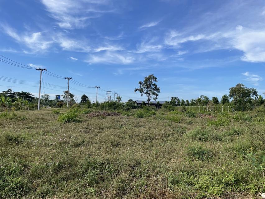 ที่ดินใกล้ ม.เกษตร สกลนคร แบ่งขาย ใกล้ ม. / 7-11 / หอพัก ที่ดินสูง ถนนคอนกรีต ไฟฟ้า–ประปาพร้อม  • แปลงที่ 1 : 1 งาน → 480,000 บาท • แปลงที่ 2 : 1 งาน 5