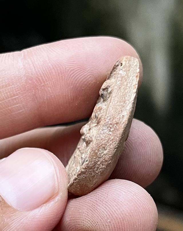 พระกลีบบัวหลวงปู่บุญ 4