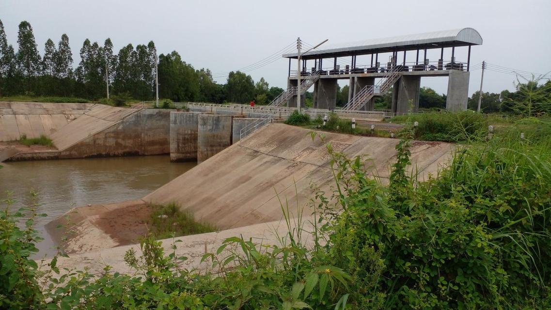 出租土地 – 泰国廊磨喃蒲府直辖县优质土地 8 莱（约12,800 平方米），水电齐全 6